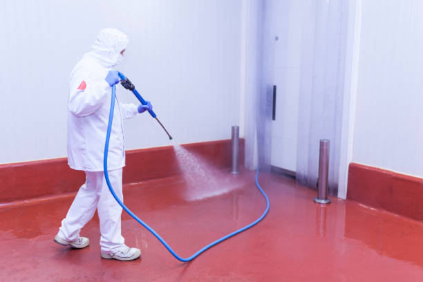 Best Sidewalk and Walkway Cleaning  in Center Point, AL
